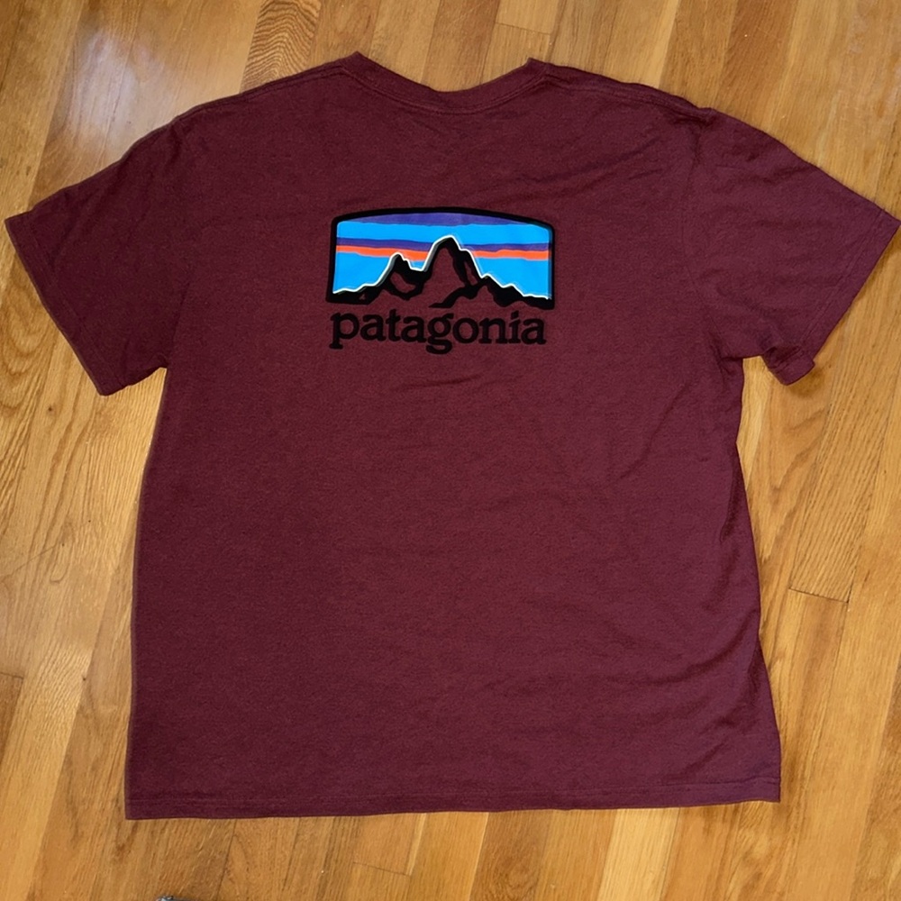 Men’s Patagonia T-shirt